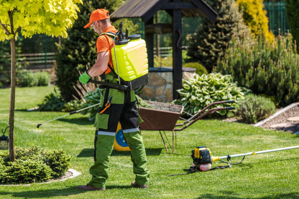 Best Pest Exclusion Services  in Rancho Mission Viejo, CA